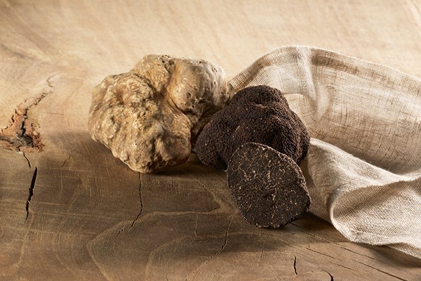 When is the truffle season?